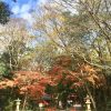12月の移動販売出店スケジュール
