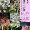 3月の移動販売スケジュール｜移動カフェ EZYCAFE