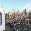 4月の移動販売スケジュール｜移動カフェEZYCAFE