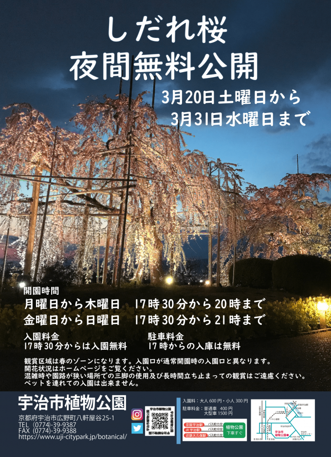 宇治市植物公園「しだれ桜　夜間無料公開」