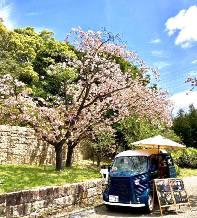 八重桜にて移動カフェ in宇治市植物公園（京都）